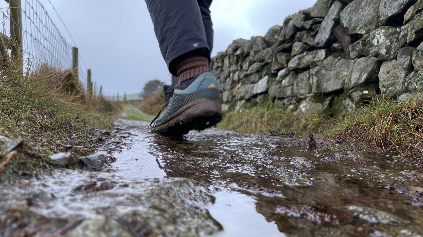 Socks & Underwear Buying Guide