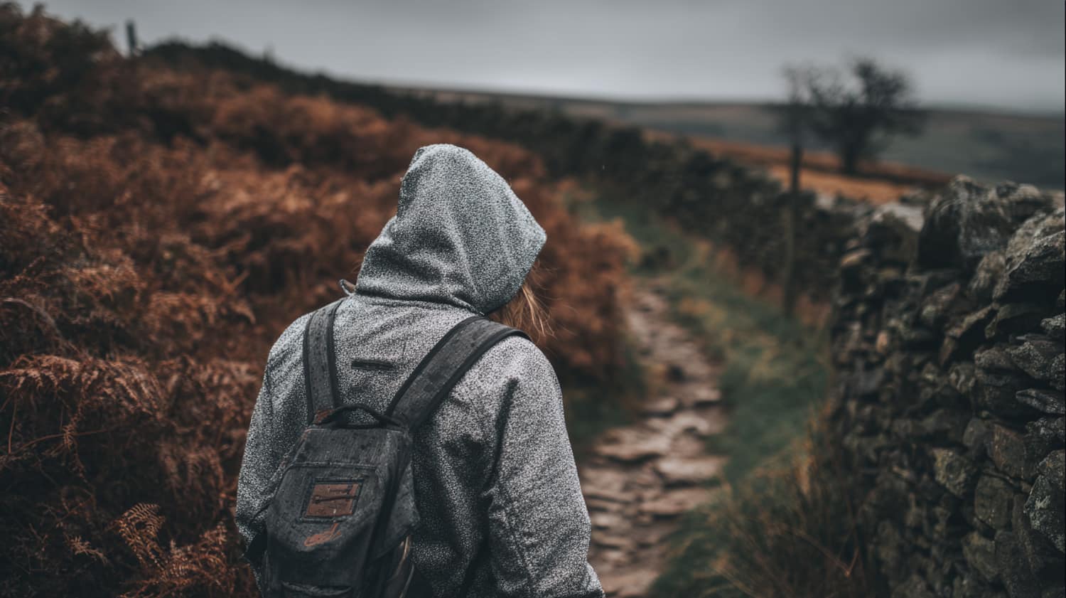 Hiker adjusting cotton hoodie layer on a Peak District moorland path, overcast autumn conditions, bracken and stone walls in background.