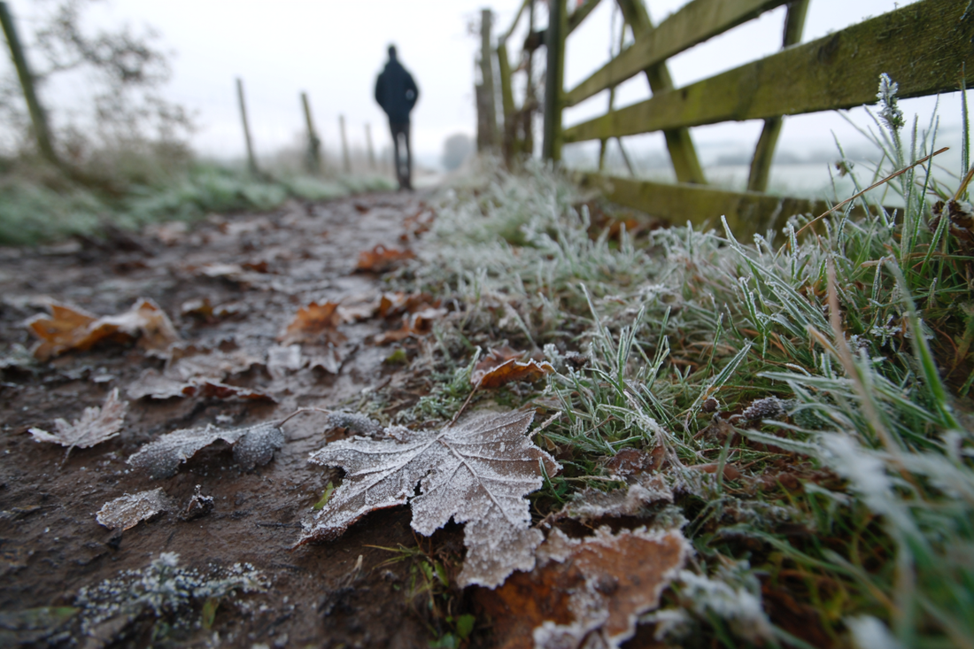 Preparing for Early Frost: Gear Adjustments for Autumn